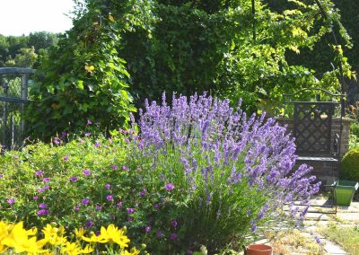 Garten mit Bepflanzung - Malecek Gartengestaltung