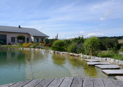 Schwimmteich - Malecek Gartengestaltung
